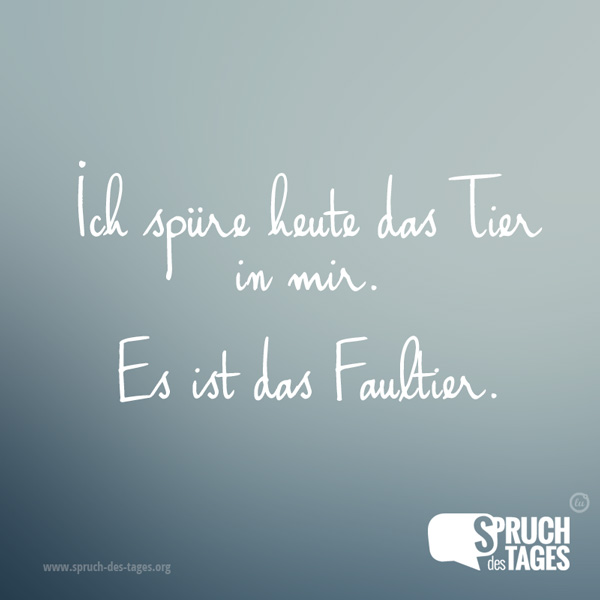 Download Wwwsprueche For Android